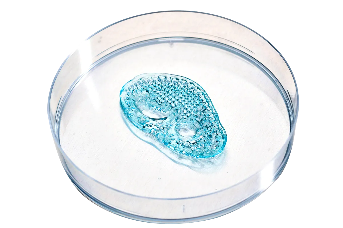 Biomedical 3D Bioprinting