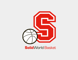 SolidWorld Basket 1